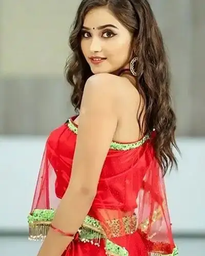 Call Girls Service Visnagar